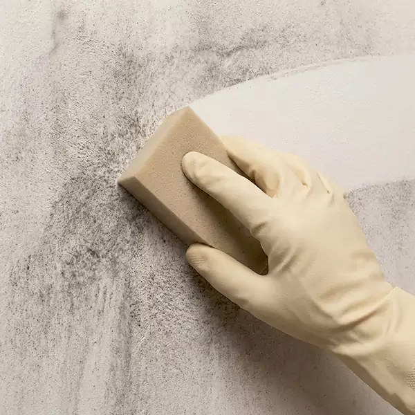 Smoke Cleaning in Garland, TX 