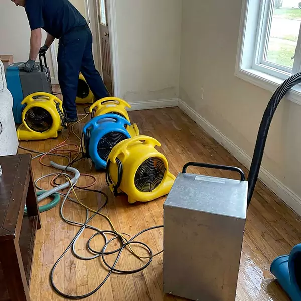 Water Mitigation Services in Garland, TX