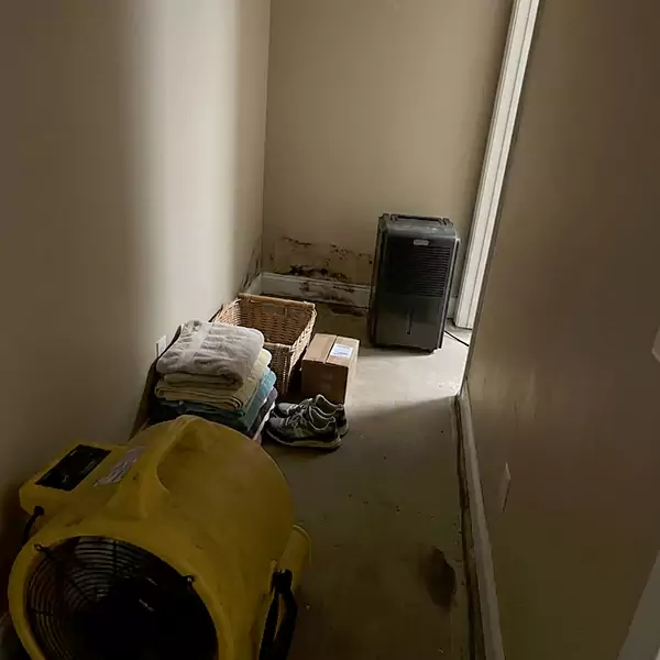 Expert Water Remediation in Garland, TX 