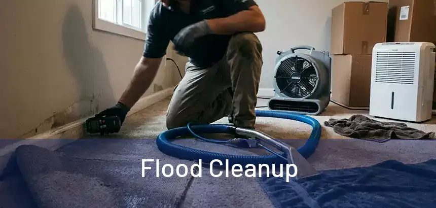  Flood Cleanup 
