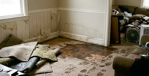 Why Choose Garland Water Damage Pro For Water Damage Restoration Services in Garland, TX?