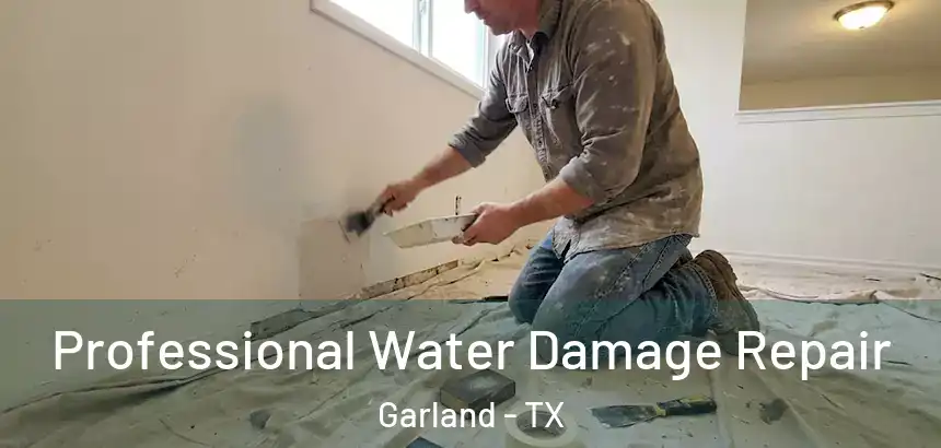  Professional Water Damage Repair Garland - TX