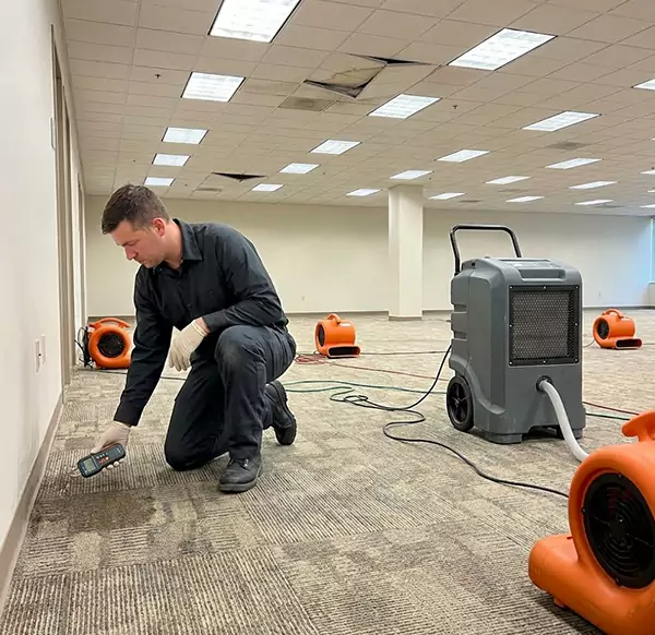 Why Businesses Choose Garland Water Damage Pro for Commercial Water Damage in Garland, TX?
