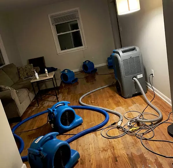 Why Homeowners & Businesses Choose Garland Water Damage Pro for Emergency Water Restoration in Garland, TX?